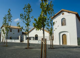 Exposição “Moura Arqueológica – Tesouros por Descobrir” é inaugurada no sábado