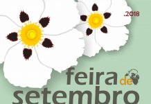 Parceria com Delta Cafés atribui lucros da venda de café a IPSS do concelho