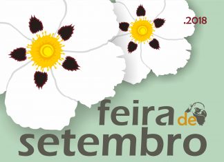 Parceria com Delta Cafés atribui lucros da venda de café a IPSS do concelho