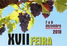 XVII Feira da Vinha e do Vinho, de 7 a 9 de dezembro
