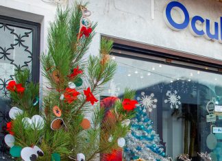 217 Pinheiros de Natal embelezam o concelho nesta quadra