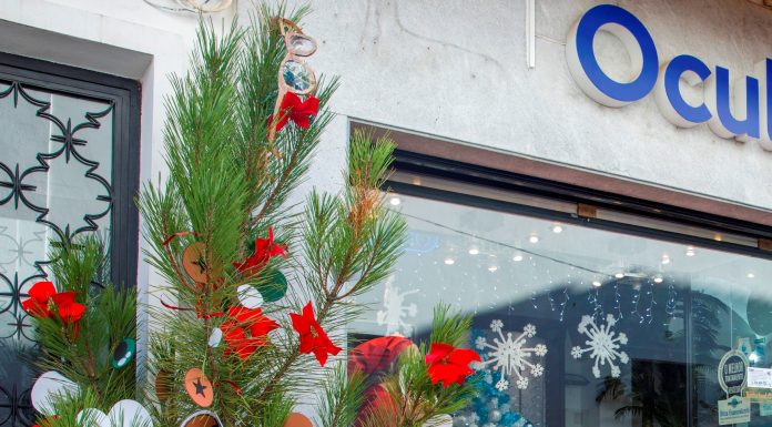 217 Pinheiros de Natal embelezam o concelho nesta quadra