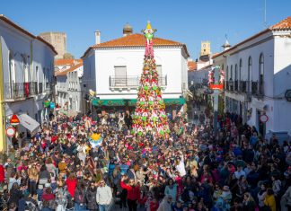 Árvore da Partilha 2019 é erguida a 3 de dezembro