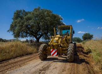 Trabalhos de reparação de caminhos prosseguem no concelho