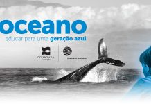 Curso de Formação para professores do 1.º ciclo com inscrições abertas até 1 de setembro