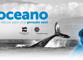 Curso de Formação para professores do 1.º ciclo com inscrições abertas até 1 de setembro