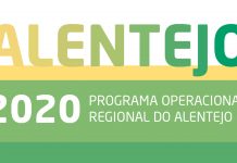 Contratação de Recursos Humanos Altamente Qualificados: Incentivos às PME