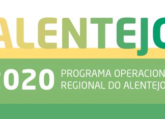 Contratação de Recursos Humanos Altamente Qualificados: Incentivos às PME
