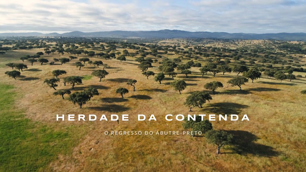 HC-O-Regresso-do-Abutre-Preto