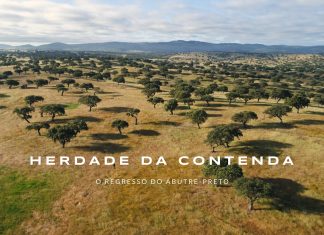 Vídeo sobre Paisagem, Biodiversidade e Avifauna da Herdade da Contenda