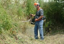 Limpeza e manutenção das faixas de gestão de combustível