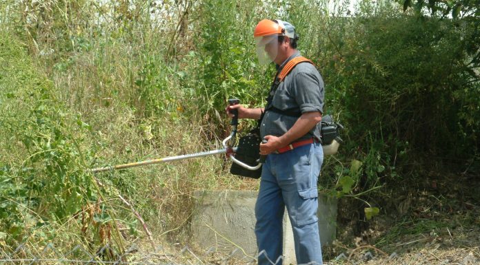 Limpeza e manutenção das faixas de gestão de combustível