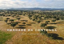 Herdade da Contenda: O regresso do Abutre-Preto