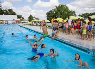 Ateliers de Verão não se realizam este ano