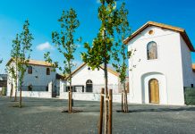 Concurso público para requalificação do Antigo Matadouro Municipal publicado em Diário da República