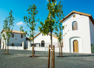 Concurso público para requalificação do Antigo Matadouro Municipal publicado em Diário da República