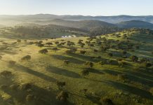 Herdade da Contenda, EM registou crescimento de 60% em 2019