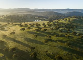 Herdade da Contenda, EM registou crescimento de 60% em 2019