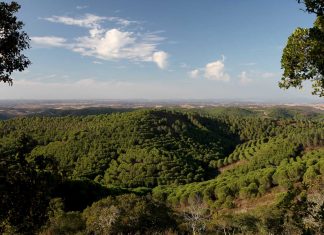 Herdade da Contenda vence prémio nacional