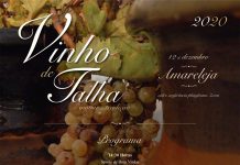 Conferência Vinho de Talha – Inovar a Tradição