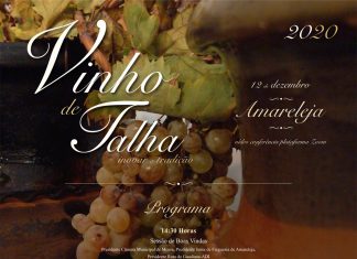 Conferência Vinho de Talha – Inovar a Tradição
