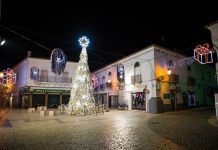 Árvores de Natal homenageiam profissionais de saúde