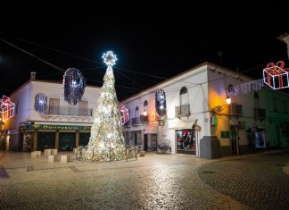 Árvores de Natal homenageiam profissionais de saúde