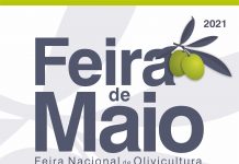 Feira de Maio em Formato Digital