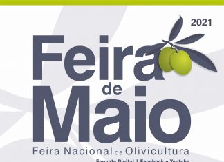 Feira de Maio em Formato Digital