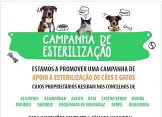 Campanha de esterilização para cães e gatos