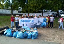 Voluntários recolhem lixo junto de cursos de água
