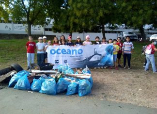 Voluntários recolhem lixo junto de cursos de água