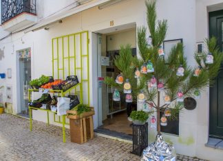 Pinheiros de Natal no comércio local