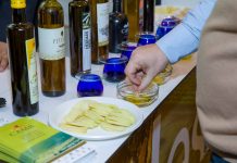 Moura presente na 33.ª edição da Bolsa de Turismo de Lisboa