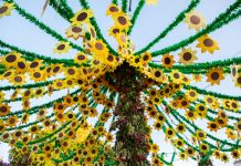 Grupo Musical Margem de Alqueva vence 1.º prémio