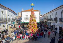 Dia Internacional da Pessoa com Deficiência