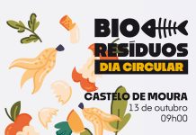 Dia Circular no Castelo de Moura