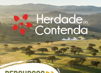Percursos Pedestres para 2024