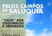 Passeio pedestre “À caça de cogumelos e espargos”