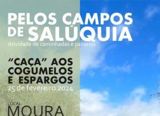 Passeio pedestre “À caça de cogumelos e espargos”