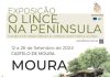 Lince-ibérico em exposição no Castelo de Moura