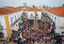 Dia Internacional da Pessoa com Deficiência