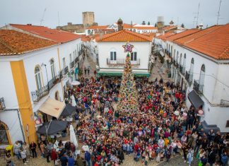 Dia Internacional da Pessoa com Deficiência
