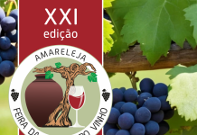 Amareleja recebe a XXI Feira da Vinha e do Vinho Amareleja recebe a XXI Feira da Vinha e do Vinho