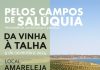 “Da Vinha à Talha” é a próxima atividade, em Amareleja