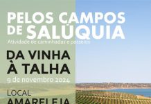 “Da Vinha à Talha” é a próxima atividade, em Amareleja