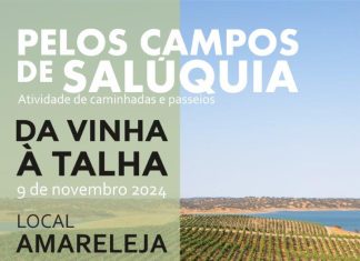 “Da Vinha à Talha” é a próxima atividade, em Amareleja