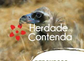 Percursos Pedestres para 2025
