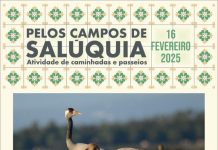 “Grous – a ave majestosa” é a próxima atividade “Grous – a ave majestosa” é a próxima atividade