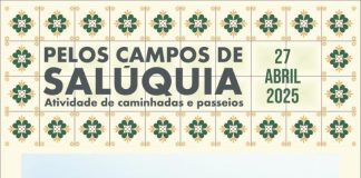 “Paisagens ocultas” é a próxima atividade